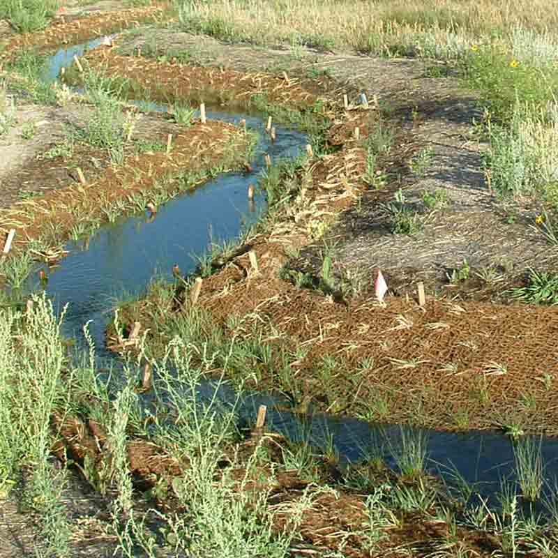 Coir Fiber Mat | Coir Mat 40 for Erosion Control